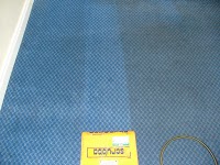 Fresh Carpet cleaning 354252 Image 0